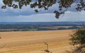 Stokenchurch Tower, Chilterns...of course