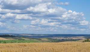 The Chilterns from The Berkshire Downs near Aldworth