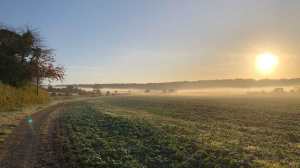 Autumn mist at Aldbury