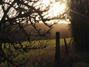 Early morning in December, Hertfordshire