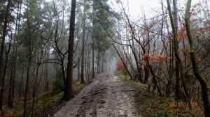 End of year approaching