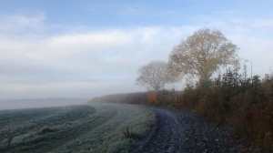 Forsty morning