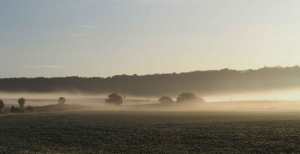 Morning mist below Ashridge