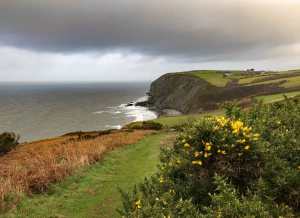 Penrhyn near New Quay, Christmas Eve walk