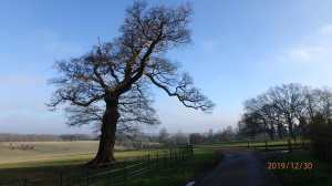 The Ver Valley, Gorhambury Estate