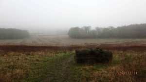 Warren Wood towards Hampden Bottom through the mist