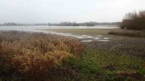 Wilstone Reservoir, December