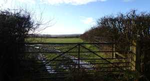 Winter sun over Tring